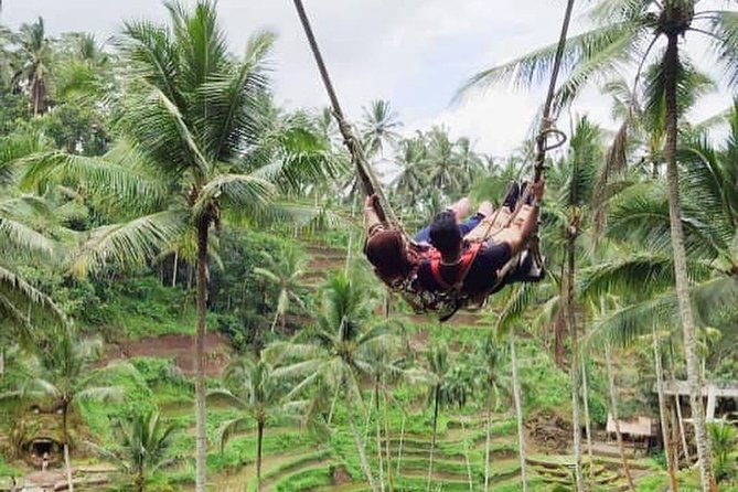 Hire Private Bali Driver - The Sum Up
