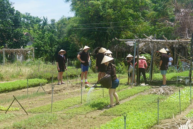 Hoi An cooking class - Final Thoughts