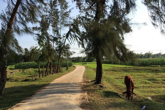 Hoi An Countryside bike tour to Kim Bong village - How This Tour Compares to Others