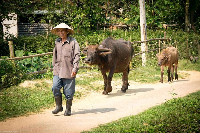Hoi An Countryside Villages by Vespa or Motorbikes  PRIVATE TOUR - FAQs