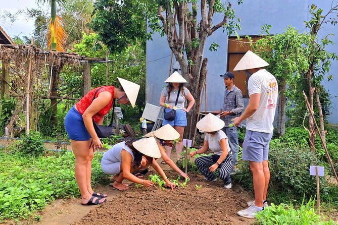 Hoi An Vespa Tour: Hoi An Rural Life & Cooking Class - Practical Details: What to Expect