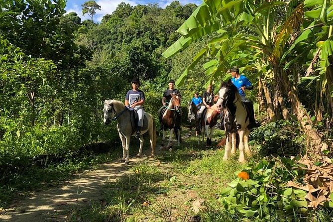Horseback Riding 1 hour trail - Who is This Tour Best Suited For?
