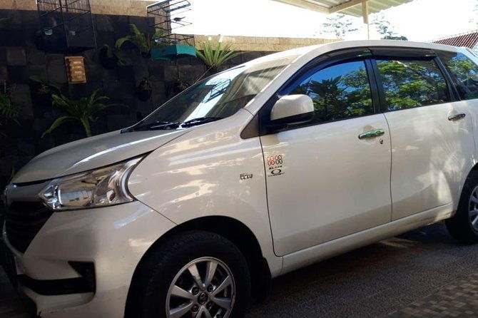 Individual Bali Day Trip with Private Driver and Free WiFi - Who Is This Tour Best Suited For?