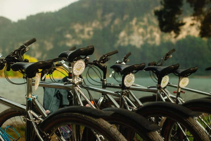 Interlaken: Lake Thun Sunset Social Bike Tour with Sundowner - Included and Not Included