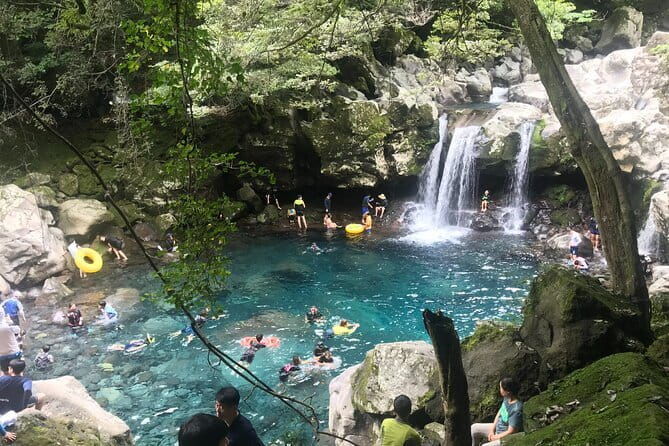 Jeju Western and Southern Routes Sightseeing Day Tour - Who Is This Tour Best For?