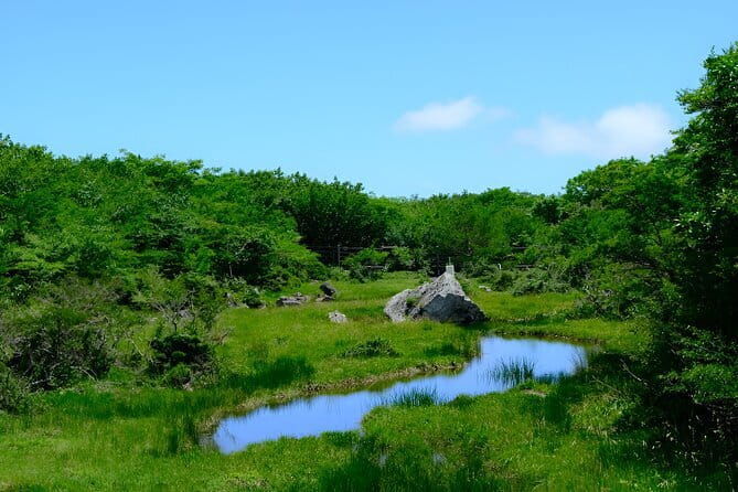 Jeju WEST&SOUTH One Day Tour with MT.halla & Aewol - The Sum Up: Is This Tour Right for You?