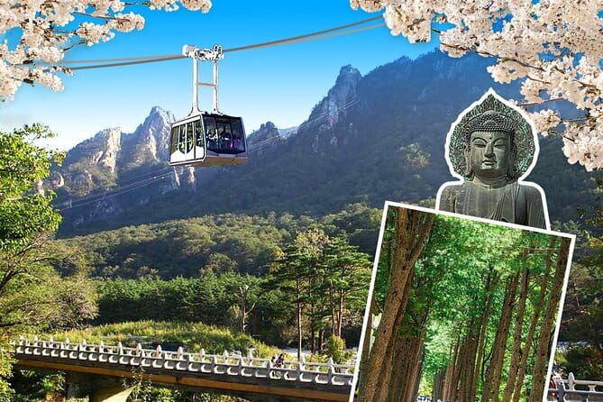 Jinhae Cherry Blossom-Yeojwacheon & Gyeonghwa St. Tour from Seoul - Transportation and Group Size