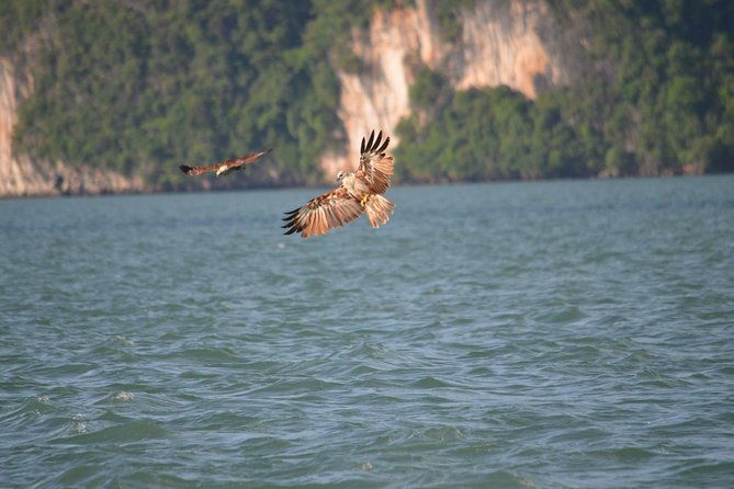 John Gray's Adventure Hong by Starlight in Phang Nga Bay - Final Verdict