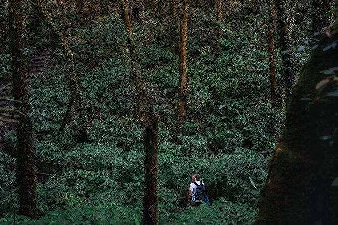 Jungle Wisdom Survival Trek - FAQ