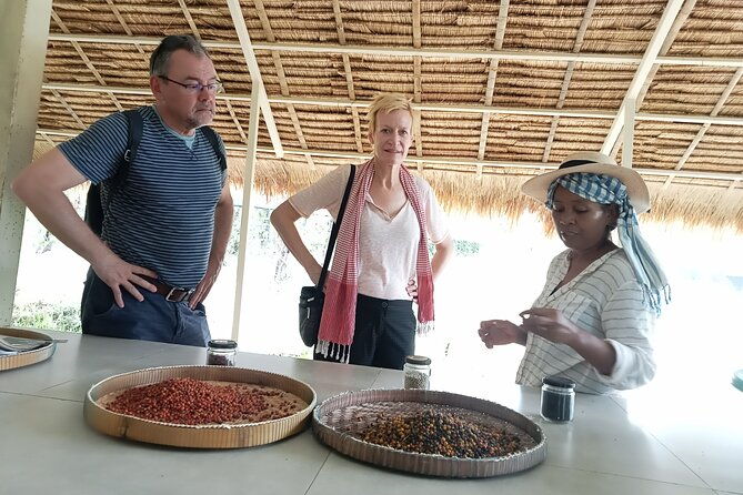 Kampot/Cambodia pepper farm . Cave. lake. Kep Crab market & more. - Who Will Love This Tour?