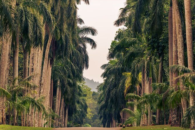 Kandy City Tour from Colombo - Final Thoughts