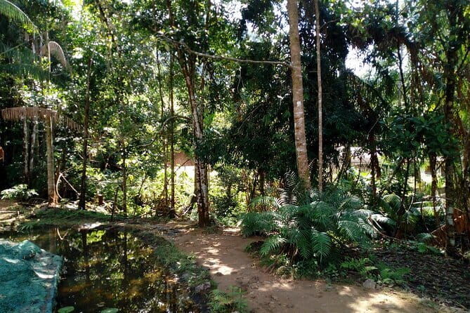 Kanneliya Rain Forest Tour - The Kanneliya Rainforest Experience in Detail
