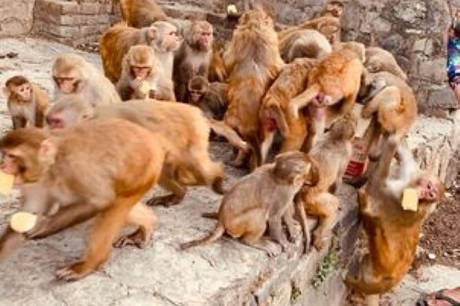 Kathmandu Private Sightseeing Tour | UNESCO World Heritage Sites - Who Should Book This Tour?
