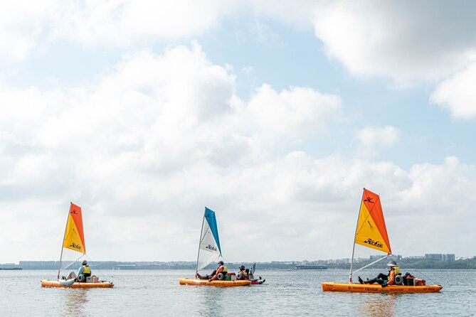 Kayak Sailing in Singapore, Mangrove, Kelong & Pulau Ubin, Seafood Meal Included - The Sum Up