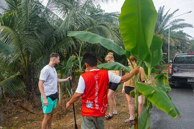 Khao Lak Elephant Sanctuary Full Day Small Group Tour - The Sum Up