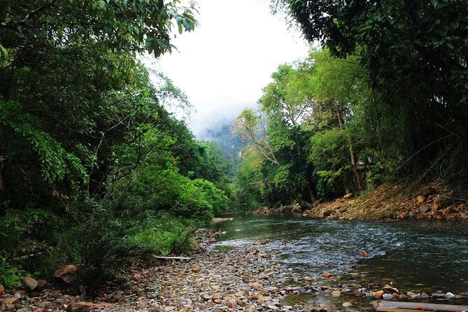 Khao Sok National Park Hiking and Bamboo Raft Tour From Khao Lak - Final Thoughts  