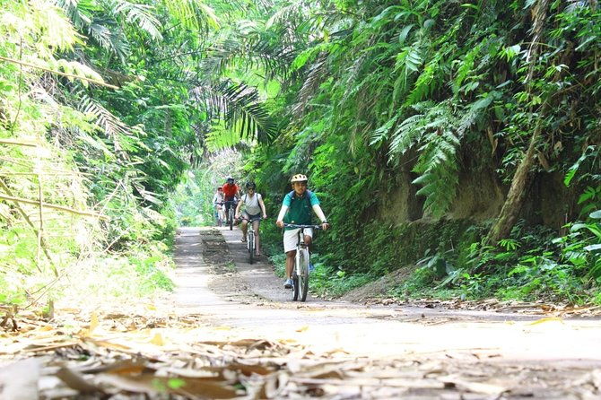 Kintamani Cultural and Nature Cycling Tour ( Manual Bike ) - FAQ