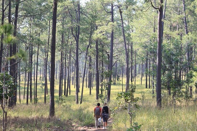 Kirirom National Park Private Day Tour from Phnom Penh - The Sum Up: Who Is This Tour Best For?