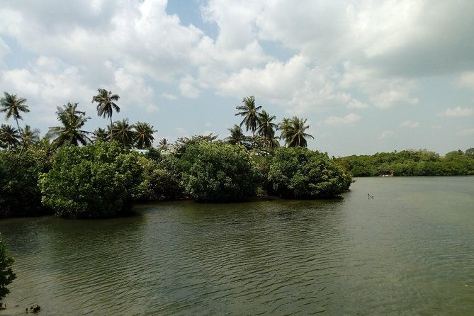 Koggala Lake Boat Tour - Final Thoughts