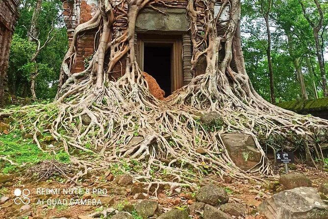 Koh Ker Pyramid Temple & Beng Mealea Jungle Temple - The Sum Up