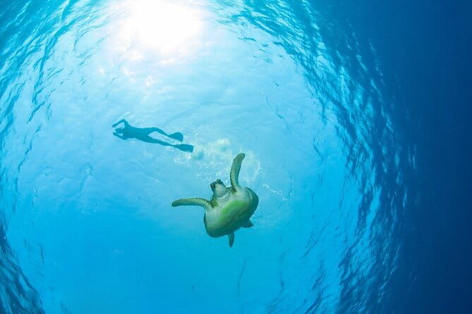 Koh Samui Half Day Island Guided Tour - Summary: Who Will Love This Tour?