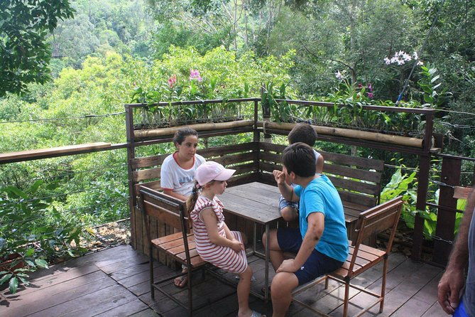 Koh Samui Jungle Safari Around The island Tour - Who Will Love This Tour?