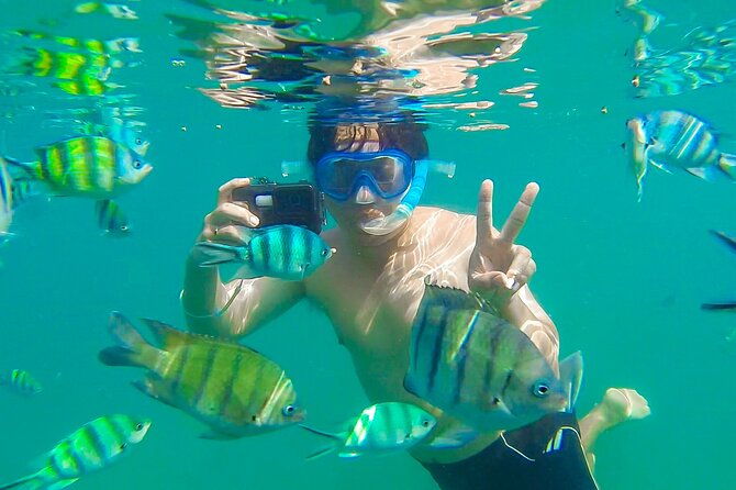 Koh Talu Full Day Shared Experience with Lunch - Who Should Consider This Tour?