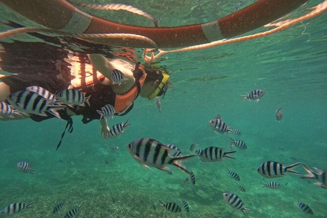 Koh Tao and Koh Nang Yuan Speedboat Tour from Koh Phangan - The Pros and Cons