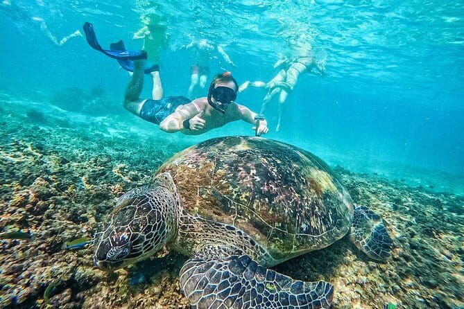 Koh Taos Top Snorkeling Spots by Vintage Wooden Boat - Final Thoughts: Why This Tour Is a Great Choice
