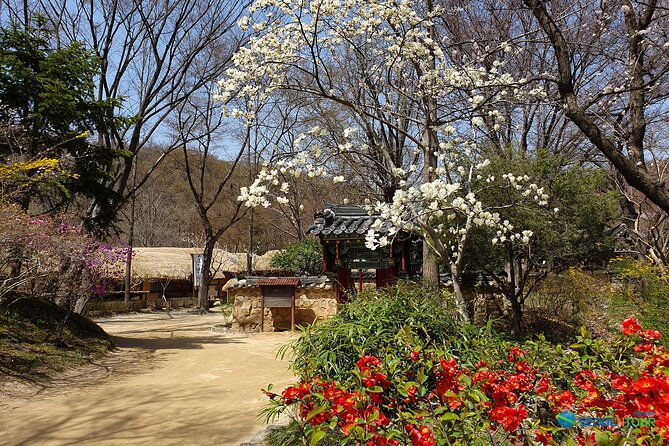 Korean Folk Village Half-day Guided Tour from Seoul - Who Will Love This Tour?