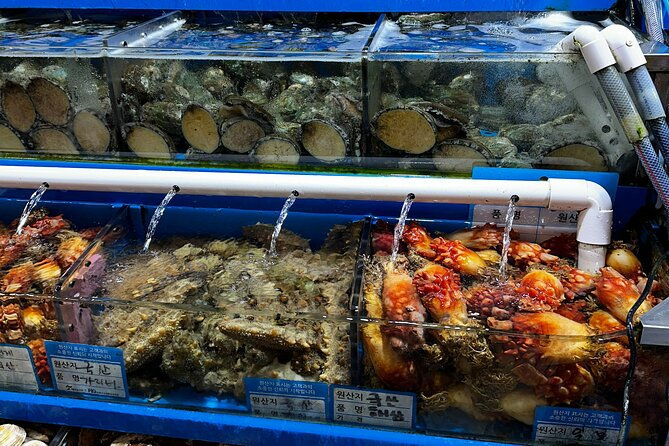 Korean Market Adventure with Chef Yie - Noryangjin Fish market - Overall Value and Suitability