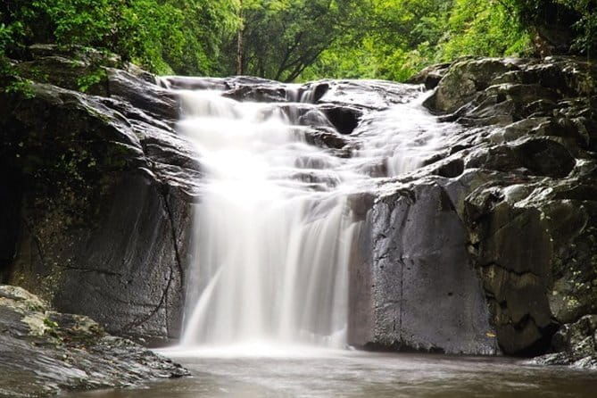 Kui Buri Wildlife Park & Community Living Beside Elephants - Who Will Love This Tour?