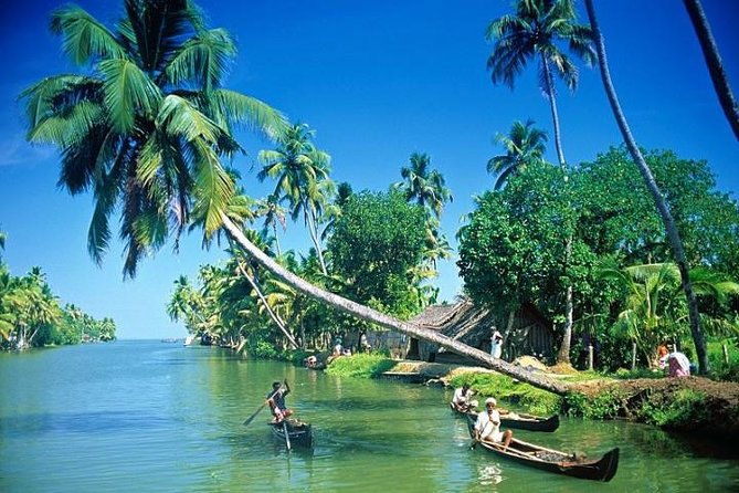 Kumbalangi Village Sightseeing Tour - FAQs