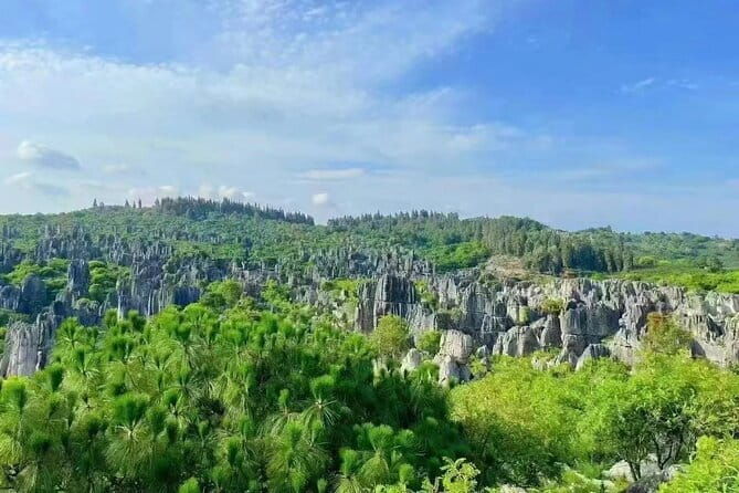 Kunming Stone Forest + Kunming City Private Tour - FAQ