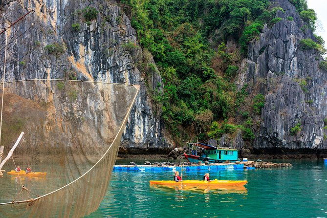 Lan Ha Bay 2 Days 1 Night - Luxury 4*V'spirit Cruise - Who Would Love This Tour?
