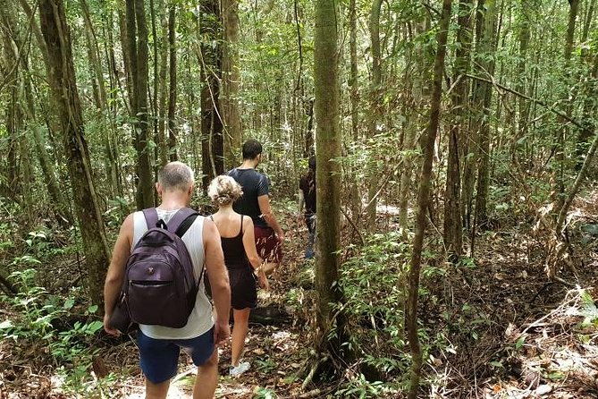 Land Tour 2: Discover the North - Kayaking & Starfish beach Phu Quoc (Not Lunch) - Practical Tips for Travelers