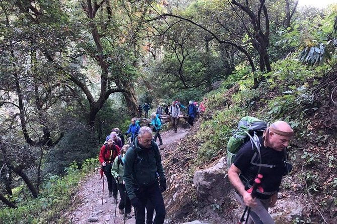 Langtang Valley Trek - Guides, Logistics, and Overall Experience
