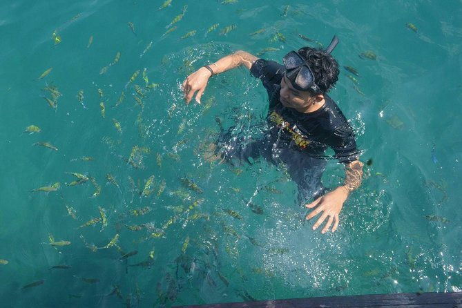 Lanta 4 Islands tour (Longtail boat) - FAQ