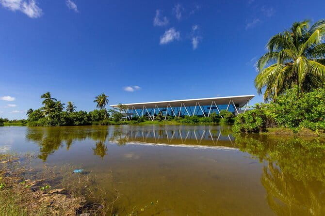 Learn to surf with Fuvahmulah Surf School - Who Will Love This Experience?