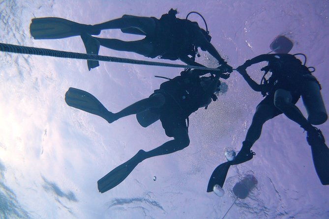 Leisure Diving | Fun Dives | 3 Dives in TARP, Kota Kinabalu - Who Will Love This Tour?