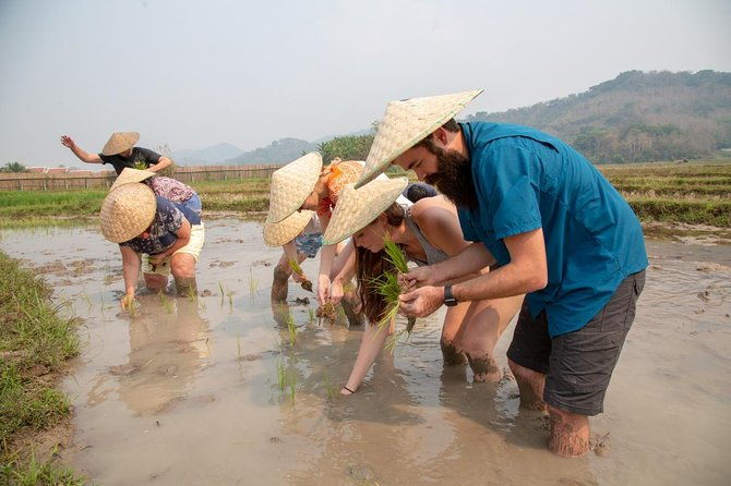Living Land Rice Farming Experience - The Sum Up