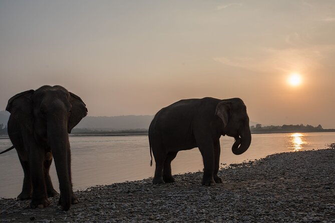 Local Living Nepal - Who Is This Tour Best For?