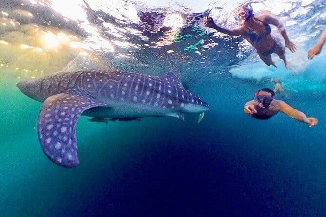 Lombok Guided Snorkeling Tour in Gili Kondo, Bidara and Kapal - Who Should Consider This Tour?