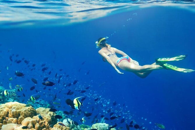 Lombok Pink Beach Boat Trip (Full Day + Snorkeling) - Final Thoughts: Who Will Love This Tour?
