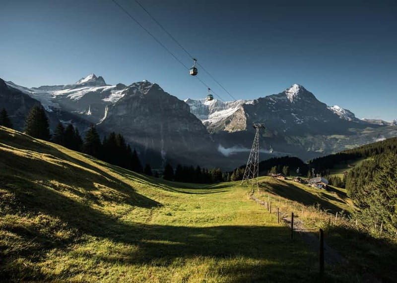 Lucerne: Interlaken and Grindelwald Swiss Alps Day Trip - FAQ