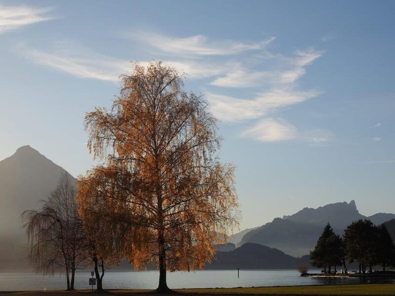 Lucerne: Interlaken & Grindelwald Exclusive Private Day Tour - Who Will Love This Tour?
