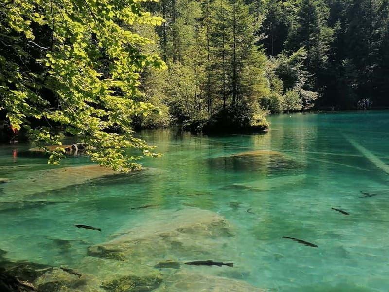 Lucerne or Zurich: Interlaken and Lauterbrunnen Day Tour - FAQs