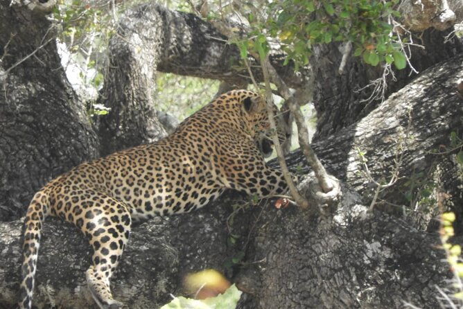 Lunugamvehera National Park Private Safari - FAQ
