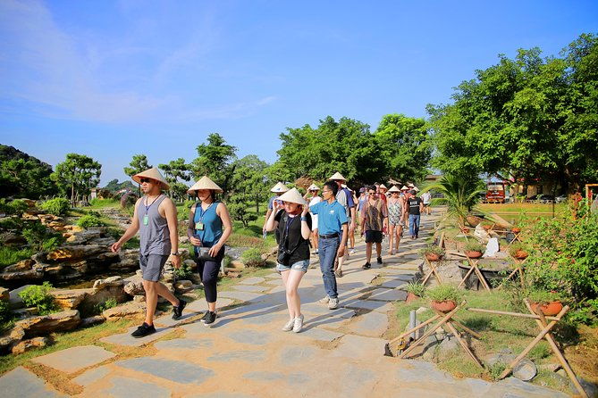 Luxury Hoa Lu Tam Coc Mua Cave 1 Day With Limousine Bus And Lunch - Who Should Book This Tour?