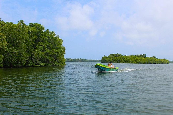Madu River Boat Safari Balapitiya - Why This Tour Offers Good Value